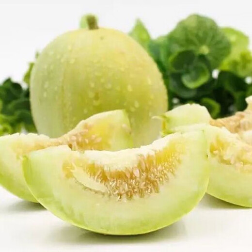 Bingtang Tianbao melon seeds are sown in spring and autumn, sweet and thick-meat for all seasons. Bingtang Tianbao melon seeds Nk89#Newcomer experience, about 52 capsules