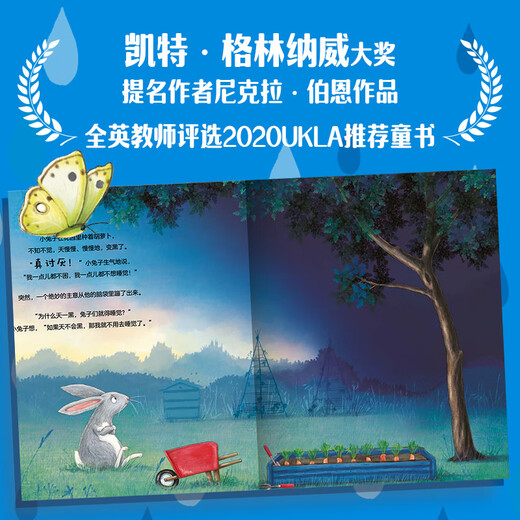 不听不听就不听 跟小兔子学共情绘本套装2册 小兔子的饼干盒 小兔子的红书包  尼克拉 伯恩著 中信出版社图书 小兔子的饼干盒+小兔子的红书包（套装）