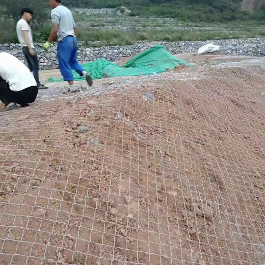 Galvanized chain link fence protective mesh orchard fence