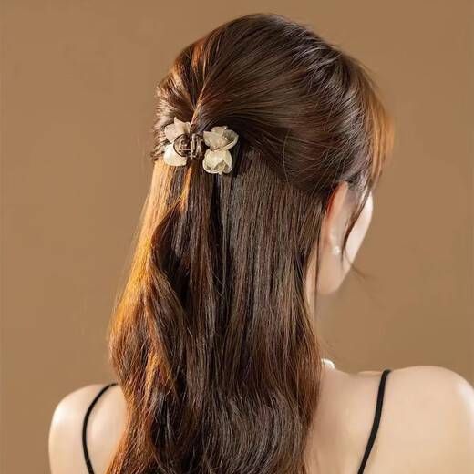 Two Worlds Half-tied Hair Clip for Women with Small Hair Volume 2025 High-end Korean Style Mesh Small Size Bangs Broken Hair Clip Hair Accessory Hair Clamp Champagne Coffee Small Clip