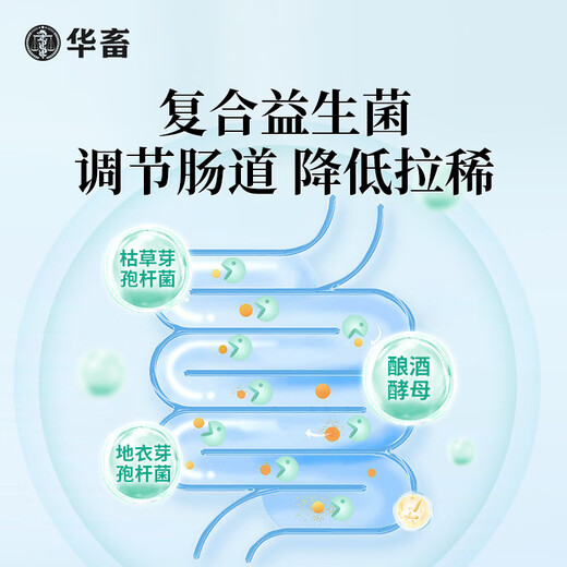 Huayu Demold Agent Veterinary Chicken, Poultry, Cattle and Sheep Feed Additive for Sows and Pregnant Animals Biological Corn Demold Cleaner 40Jin Jin is equal to 0.5kg, available for pregnant animals