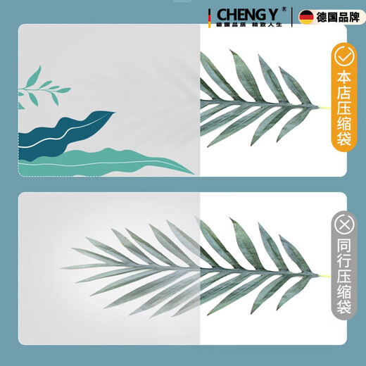 RSRDDY Vacuum Compression Bag Storage Bag Organizing Bag Clothes Quilt Household Artifact Clothing Down Jacket 2 Extra Large + 4 Large + 4 Medium + Electric Pump