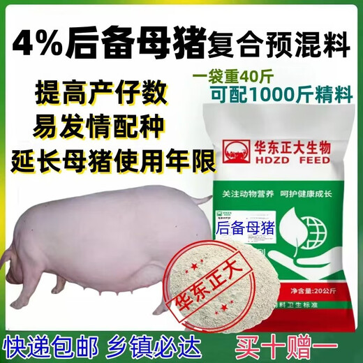 8% gilt feed 4% gilt premix pig farm sow feed to improve farrowing and early estrus 4% gilt