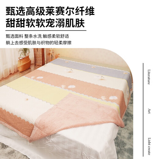 Shantou Lincun High Luxury Lyocell Tencel Baby Velvet Bed Cover Four Seasons Blanket A Side Tencel B Side Baby Velvet Can Bedding Baoli 21