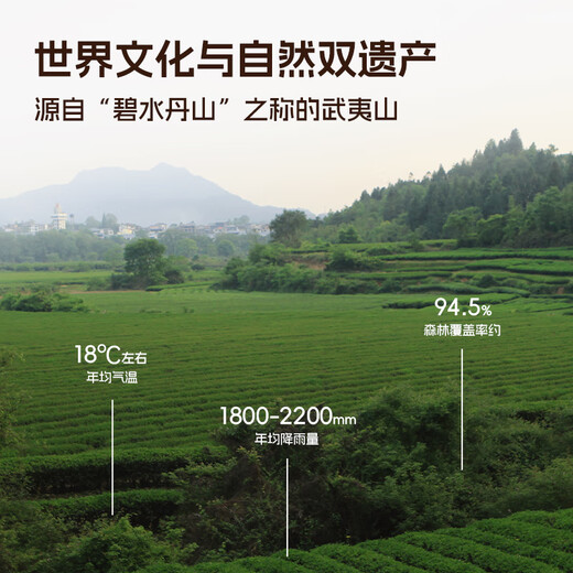 Xiaowens Tee Oolong Tee Mellow Wuyi Rock Tee Dahongpao Level 149.4g mittelfeuer Geschenkbox Geeignete Tee Blätter