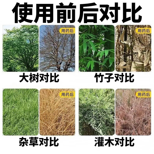 Cyclazinone is a special medicine to remove dead trees and rotten roots of large trees. Herbicide is a special medicine to remove big trees and remove rotten roots of bamboo. Genuine Cyclazinone 5Jin Jin is equal to 0.5kg