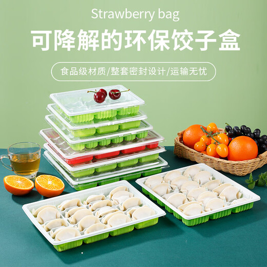 Cong 1st floor disposable dumpling box special raw and cooked dumpling box takeaway packaging box commercial compartment quick-frozen storage box 1 layer 20 grid green and white dumpling box 10 sets