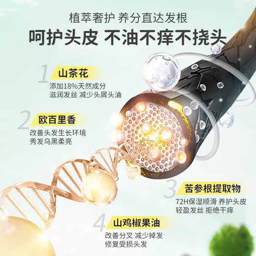 Chuman Children's Shampoo 3-16 years old special for teenagers boys and girls anti-dandruff, anti-itch, oil-control, silicone-free shampoo, genuine teenagers and children special research Camellia Shampoo 800ml