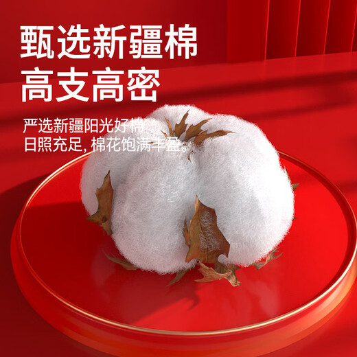 Urban Beauty Lace Red Panties Women's Year of the Horse Pure Cotton 10A Antibacterial Festive Wedding Shorts Briefs