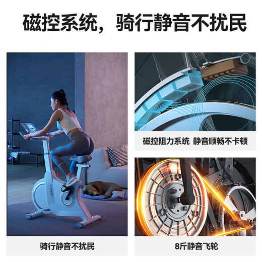 Hanma home spinning magnetically controlled silent intelligent sports weight loss fitness equipment indoor bicycle 32-speed intelligent electronically controlled resistance adjustment + LCD dial + personal fat burning course