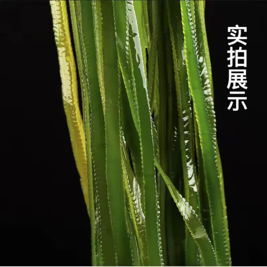 鲜海带 盐渍海带丝 海带凉拌菜鲜嫩 盐渍海带丝2.5kg