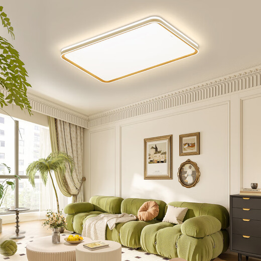 OPPLE Ceiling Lamp Eye Protection High Color Rendering Living Room Headlight Dimmable LED Lighting Fixtures Lighting Simple Product See Installation Included