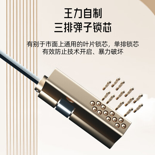 王力防盗门别墅大门4级家用安全门指纹锁子母门单门加高门头入户门P701