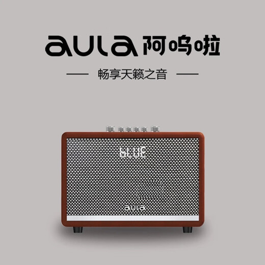 Awola Retro Bluetooth Speaker Teaching and Teaching Musical Instruments Playing and Singing Amplifier Charging Dual Microphones Musical Instruments Playing Outdoor Karaoke AK812 Four Speakers 130W Power Dual Microphones