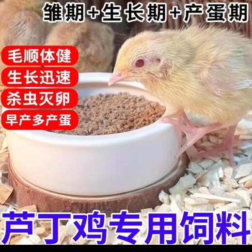 Rutin chicken special feed Rutin chicken egg production feed mealworm brooding feed quail feed high protein 5Jin Jin is equal to 0.5 kg egg production food containing mealworm dried vegetables