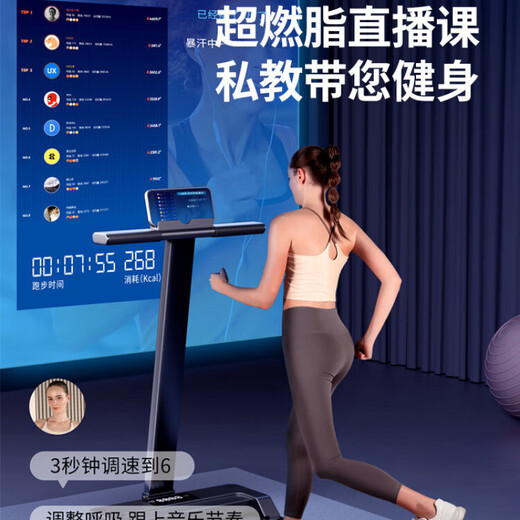 Xiaomi Shi Home Folding Treadmill Small Intelligent Indoor Home Fitness Electric Tablet Walking Machine Premium Edition (Starry Sky Black)