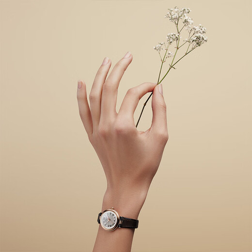 Tissot watch Little Beauty series women's watch Swiss quartz women's belt watch fashion watch New Year gift