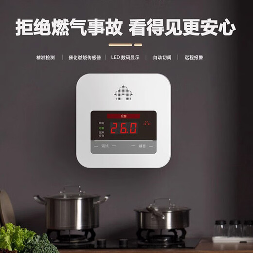 Setwell gas alarm natural gas alarm home kitchen flammable gas liquefied gas detector elderly gas leak detection