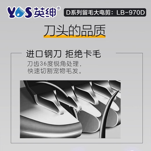 Yingshen pet electric clipper 970D pet shop professional grooming hair clipper dog shaver Teddy clipper 970d large set (including 4 hair clippers)