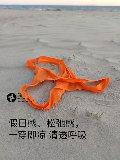 Paloma hot ice silk men's thong thin translucent sexy silky bottoming underwear orange PT shop owner struggling M