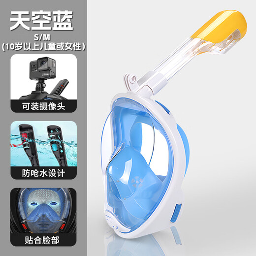 Zhizhou Diving Mask Adults and Children Full Face Snorkeling Glasses Swimming Equipment Underwater Full Dry Respirator Mirrors Waterproof Upgraded Anti-Choking Water Mint Green L/XL (Male) Free