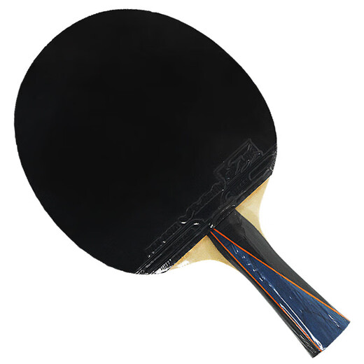 Butterfly Boer table tennis racket 3000-horizontal double-sided reverse rubber all-purpose high-elastic racket including racket case