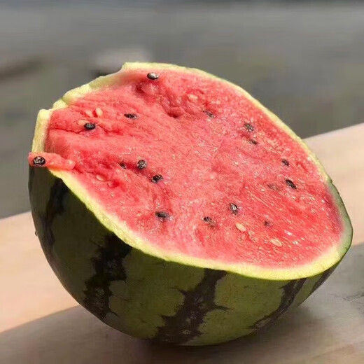 Super sweet 18 degree rock sugar Kirin watermelon seeds super 8424 sweet, crisp, juicy and crack-resistant thin-skinned round watermelon seeds 400 capsules bag Jinmeidu 3 cans
