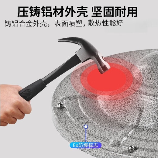 Yunzhizhuo LED explosion-proof lamp factory workshop warehouse explosion-proof lighting gas station lamp explosion-proof lampshade miner's lamp 250 type lampshade + 30W bulb