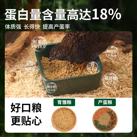 Rutin chicken food, full-price chicken feed, egg production grain, mealworm brooding food, 900s quail full-term feed, rutin chicken full-term food, 500g (1 Jin Jin is equal to 0.5 kg)
