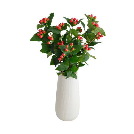 Honghonghuohuo fire dragon ball red 5 sticks