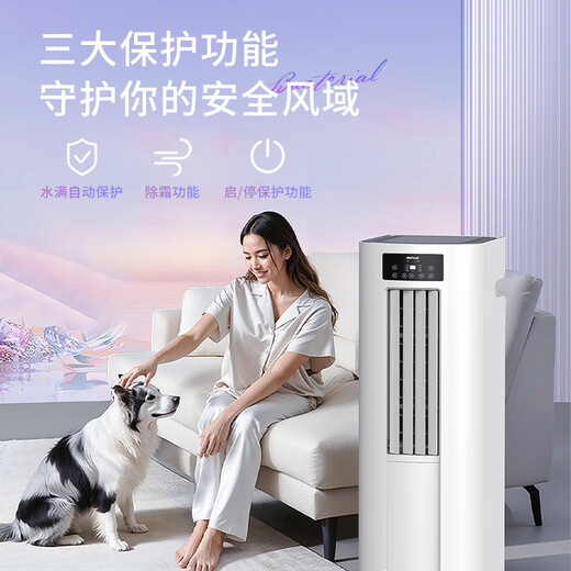 AIRPLUS (Airplus) mobile air conditioner all-in-one home small vertical heating and cooling dual-purpose kitchen apartment air conditioner without outdoor unit installation-free and drainage-free portable vertical air conditioner large 1 HP new upgrade of heating and cooling whole house cooling