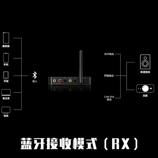 FiiO BTA30 Pro Bluetooth Audio Receiver and Transmitter Home TV Speaker Amplifier Adapter 2-in-1 Hard Solution HIFI Black