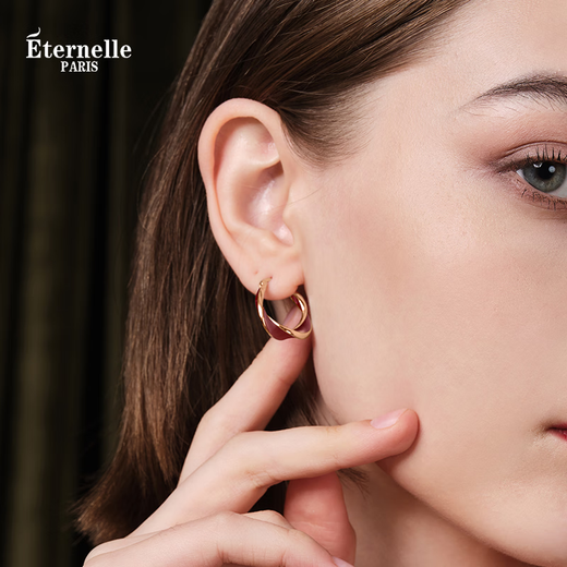 Eternelle French eternal French light luxury earrings niche earrings new earrings high-end birthday gifts