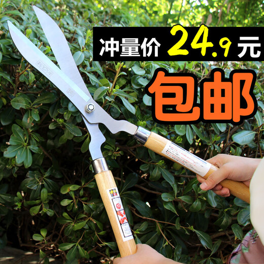 Chaosihui wooden handle lawn shears, hedge shears, garden pruning shears, flower scissors, branch shears, gardening shape scissors, garden tools, small wooden handle lawn shears