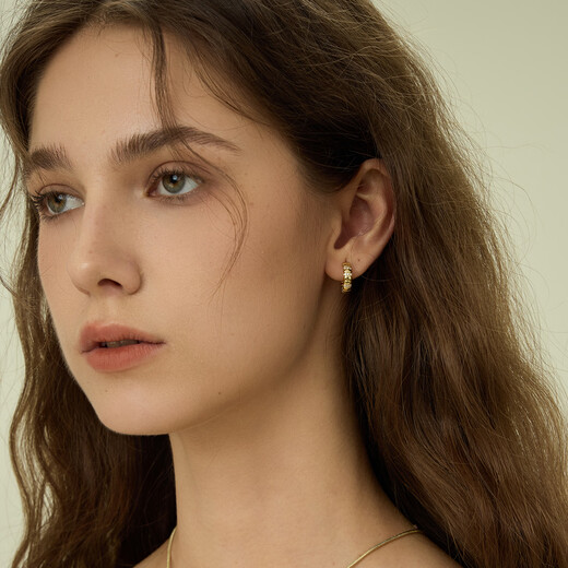 Arsis freely matches snake bone small earrings, female fashion simple earrings, versatile earrings as a gift for your girlfriend, snake bone small earrings - gold