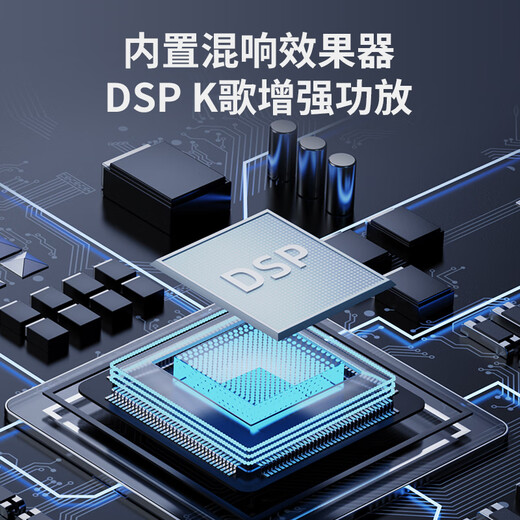 Patriot T19 Bluetooth audio echo wall TV speaker wireless home KTV theater karaoke audio set all-in-one machine with microphone dual microphone version