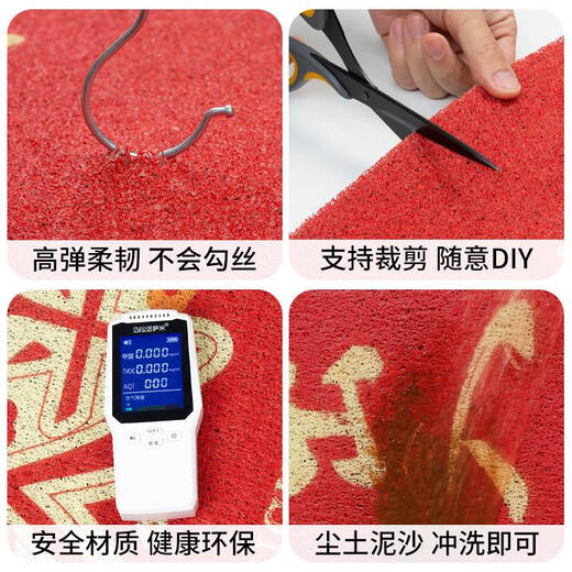 Shantou Lin Village entrance and exit safe door mats entrance door floor mats 2025 New Year silk circle door mats entrance Nuanju Ruyi AX-6296 100*120m isolates sediment