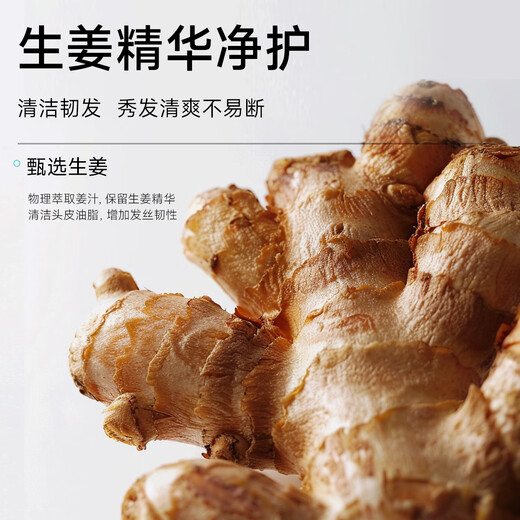 Flexible [mismo modelo para el ventilador Chengcheng] El champú de jengibre de polipéptido previene el control de aceite de cabello para reparar el champú del cuero cabelludo