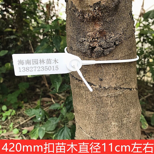 One-time customized garden seedling seal number tree extended plastic seal label sign 42CM50CM60CM plastic 33cm blue 100 pieces