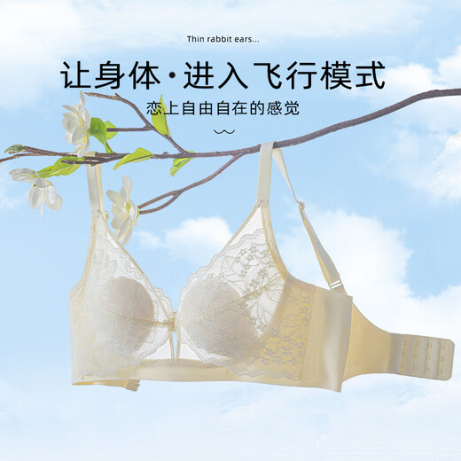 都市丽人内衣女大胸显小胸蕾丝兔耳杯聚拢承托防下垂侧收副乳文胸 薄荷绿 M