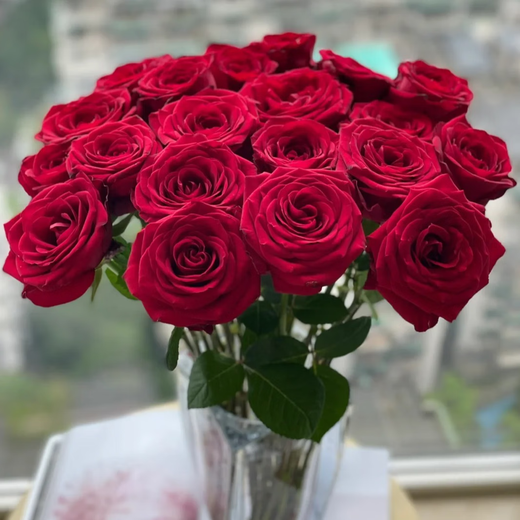 Rose Flower Shop's Same Style Gansu Rose Northwest Flower Soilless Cultivation Easy to Flowering Period Long Chinese Valentine's Day Gift Naomi Single-headed Rose 20 Branches