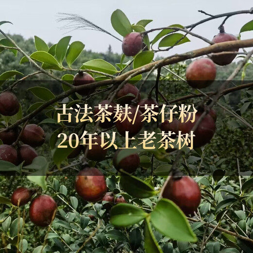 Tea seed cake, camellia oil dried flakes, natural traditional tea bran shampoo and conditioner, dishwashing and decontamination residue tea dried powder for home use, loose fine powder-2500g, 15 filter bags delivered