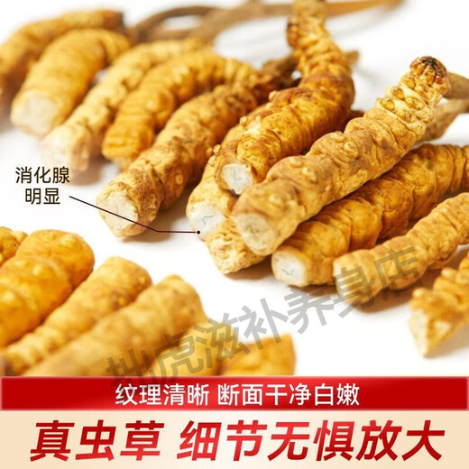 北京同仁堂品质藏区直发曲那冬虫夏草高海拔镎曲虫草干货送礼佳品100g礼盒 2根/克100克礼盒装     拉萨直发