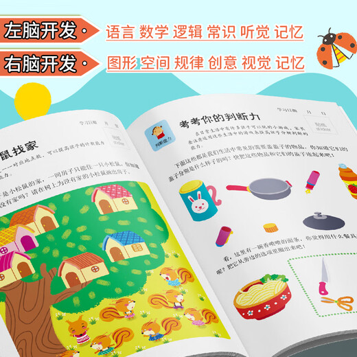 Little Red Flower Left Brain Development Right Brain Development 2-3-6 Years Old Kindergarten Parent-Child Whole-Brain Thinking Puzzle Potential Development Intellectual Training Parent-Child Baby Logic Training Toddler Children Sticker Picture Book Game Toy Sticker Book (8 volumes in total) Left Brain Development Right Brain Development 4-5 Years Old (2 volumes in total) New Edition