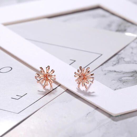 Chao Acer Snowflake 18K Gold Earrings Rose Gold Color Gold Earrings for Girlfriend Birthday Gift YD
