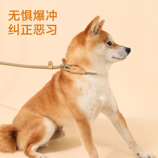 Dog leash P chain rope dog walking rope explosion-proof impact collar integrated dog leash medium and large small dogs beige P chain L size 20-50Jin Jin equals 0.5 kg applicable