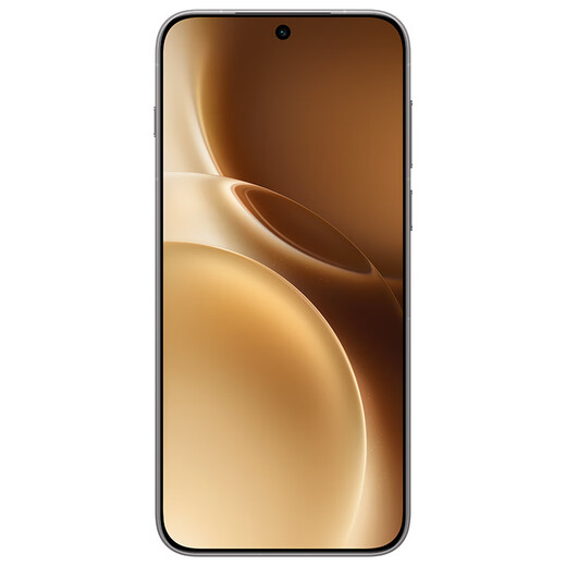 Vivo X300 Pro 16GB+512GB Wilderness Brown Zeiss 200 Million APO Super Telephoto Blueprint Image Dual Core 5 Years Long-lasting Smooth OriginOS 6 AI Phone