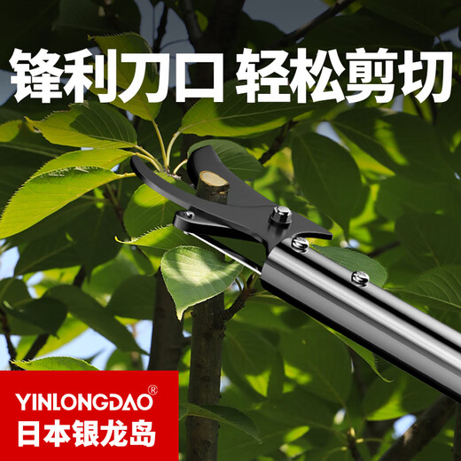 Yinlongdao (YINLONGDAO) high-branch shears, special scissors for pruning branches, telescopic extension pole, gardening fruit tree high-altitude pruning, long-handled fruit picking artifact, 11.2-2.2 meters, upgraded aluminum alloy telescopic pole