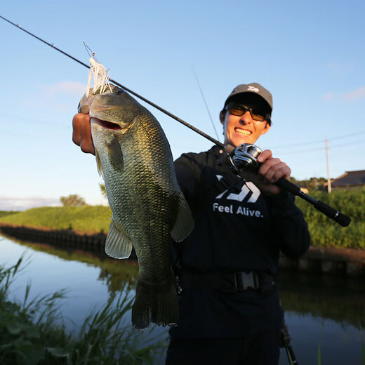 Daiwa 25 neue Blacklabel x Japanische Version Schwarz Mark Luya Rod Universal Long Throw Rod Mikroobjekt Sea Bass Mandarin Fischstange 2.03m Japanische Version 681mh/MFB