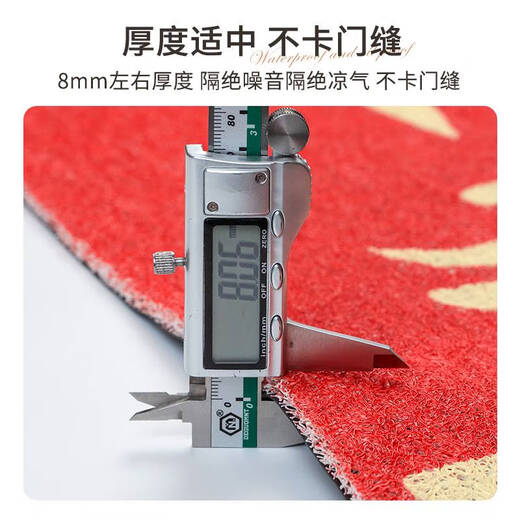 Shantou Lin Village entrance and exit safe door mats entrance door floor mats 2025 New Year silk circle door mats entrance Nuanju Ruyi AX-6296 100*120m isolates sediment